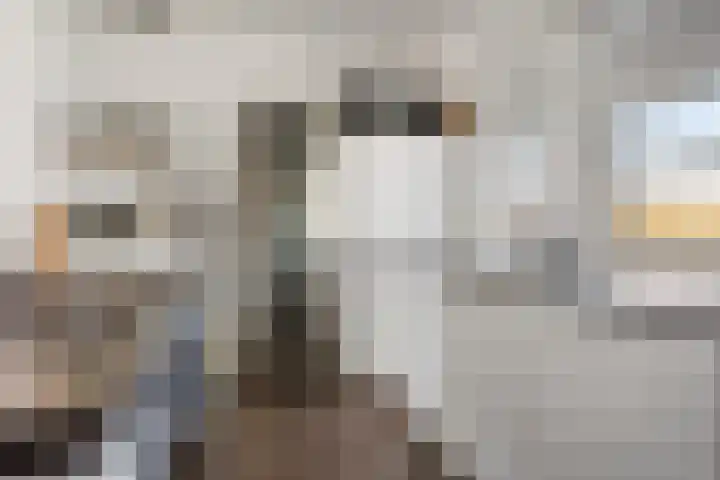 Lokhorst 131 Leiderdorp thumbnail 16