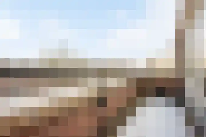 Lokhorst 131 Leiderdorp thumbnail 28