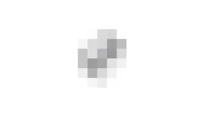 Lokhorst 131 Leiderdorp thumbnail 39
