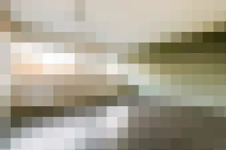 Lokhorst 35 Leiderdorp thumbnail 13