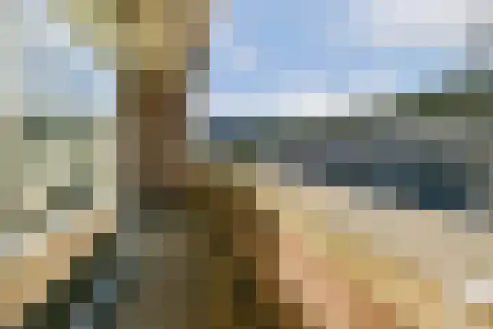 Lokhorst 35 Leiderdorp thumbnail 22