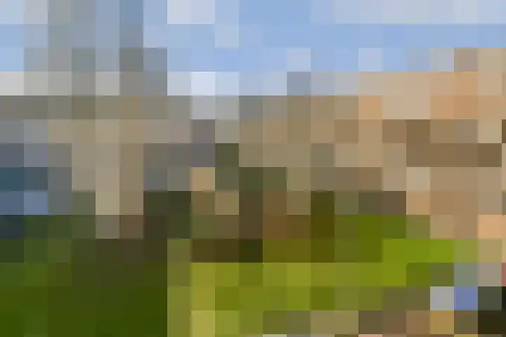 Lokhorst 35 Leiderdorp thumbnail 23