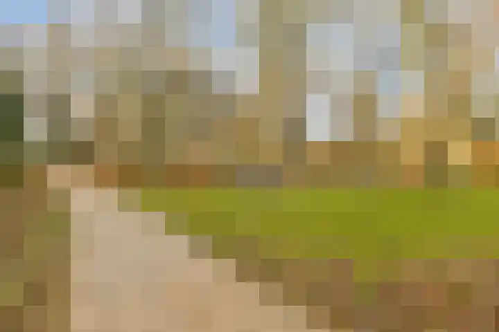 Lokhorst 35 Leiderdorp thumbnail 26