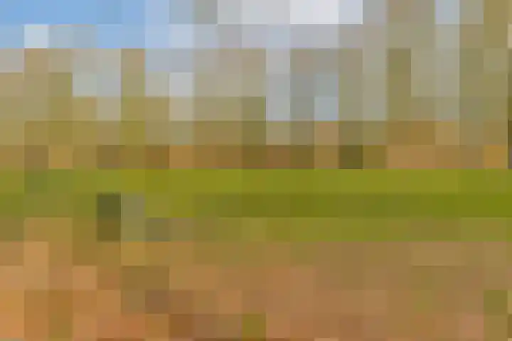 Lokhorst 35 Leiderdorp thumbnail 28