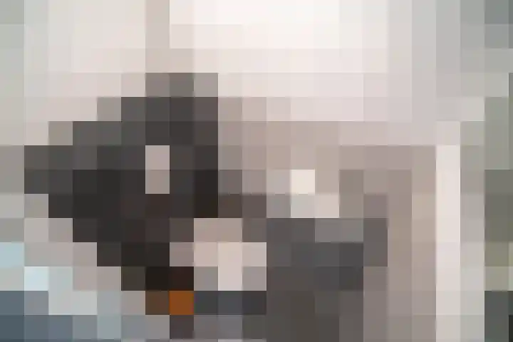 Lokhorst 43 Leiderdorp thumbnail 13
