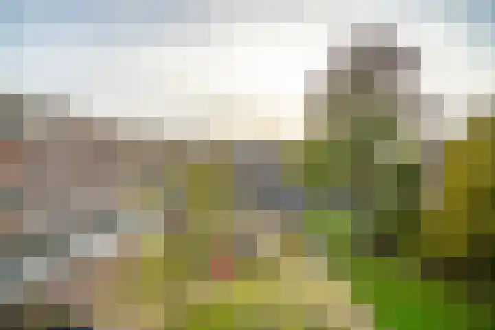 Lokhorst 43 Leiderdorp thumbnail 25
