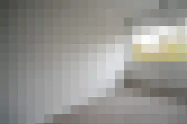 Lokhorst 43 Leiderdorp thumbnail 35