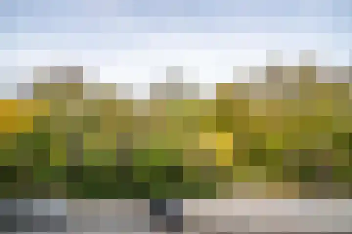 Lokhorst 43 Leiderdorp thumbnail 36