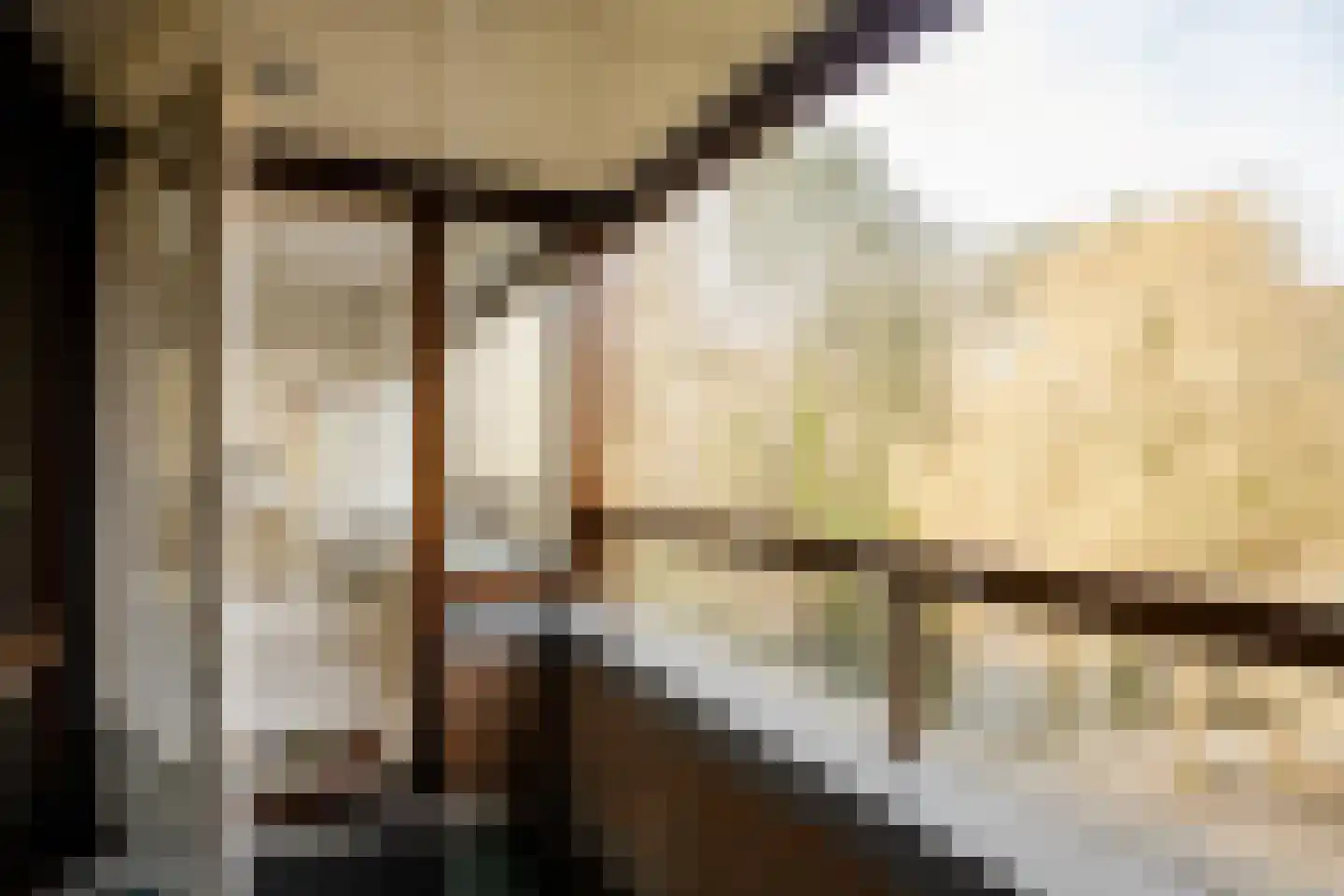 Lokhorst 43 Leiderdorp thumbnail 39