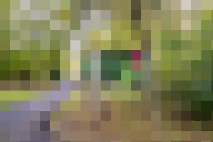 Lokhorst 43 Leiderdorp thumbnail 43