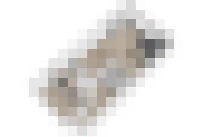 Lokhorst 43 Leiderdorp thumbnail 47
