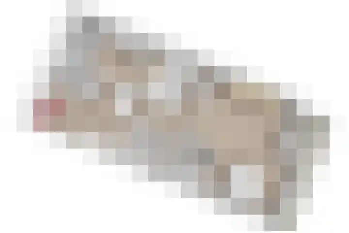 Lokhorst 43 Leiderdorp thumbnail 49