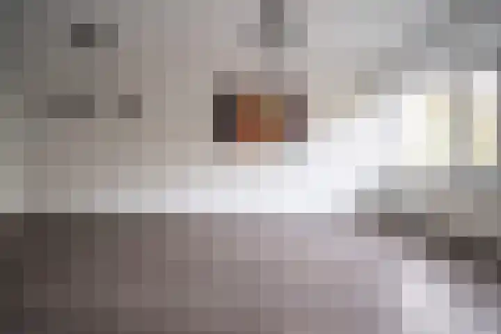 Lokhorst 43 Leiderdorp thumbnail 8