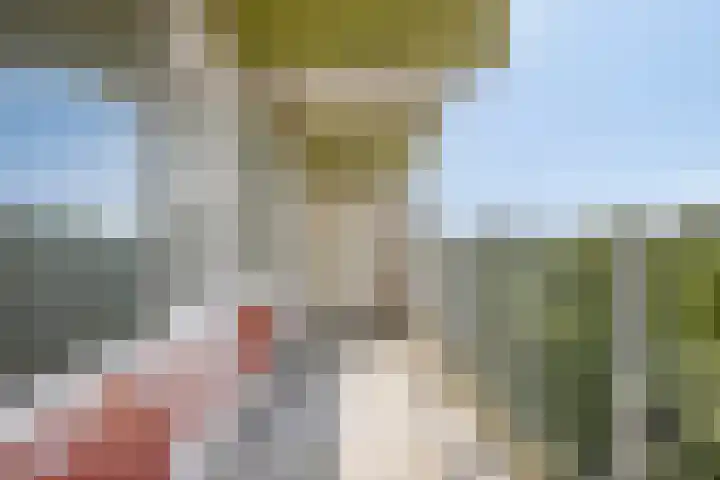 Lokhorst 45 Leiderdorp thumbnail 4