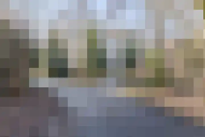 Lokhorst 57 Leiderdorp thumbnail 32