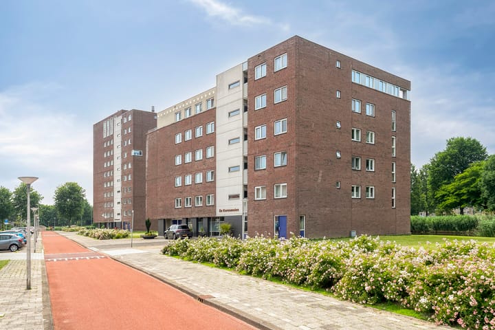 Lokkertsemolenweg 132 in Hoogvliet Rotterdam foto