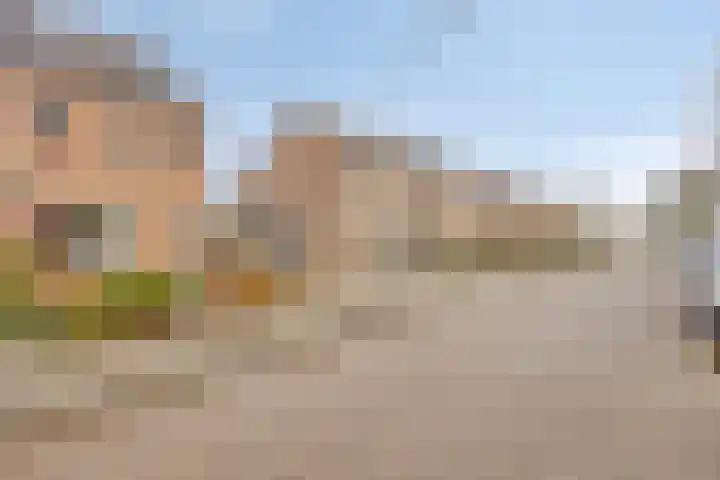 Lombarts 24 Duiven thumbnail 37