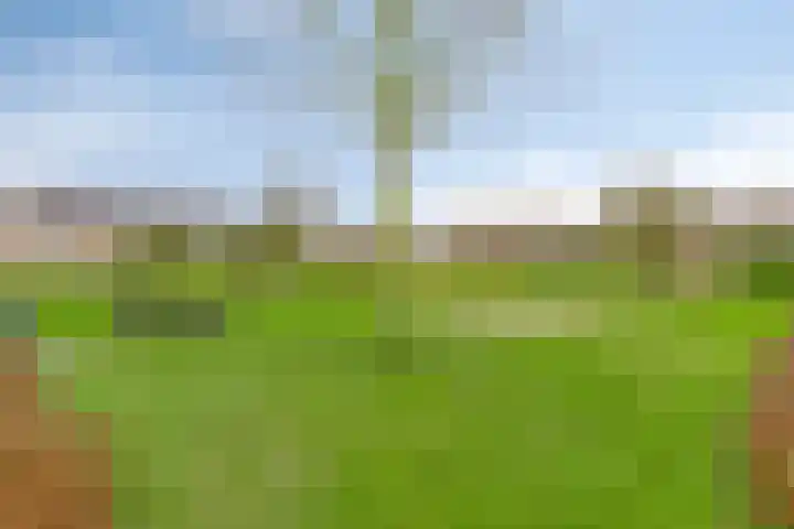 Lombarts 24 Duiven thumbnail 38