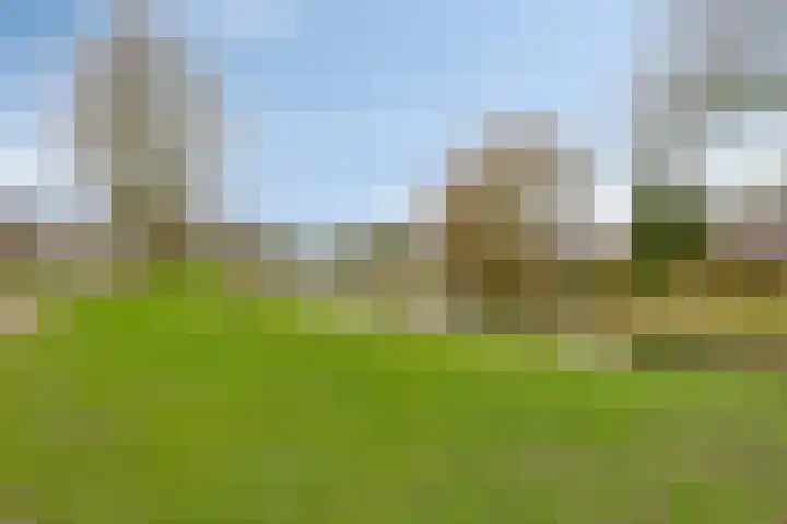 Lombarts 24 Duiven thumbnail 39