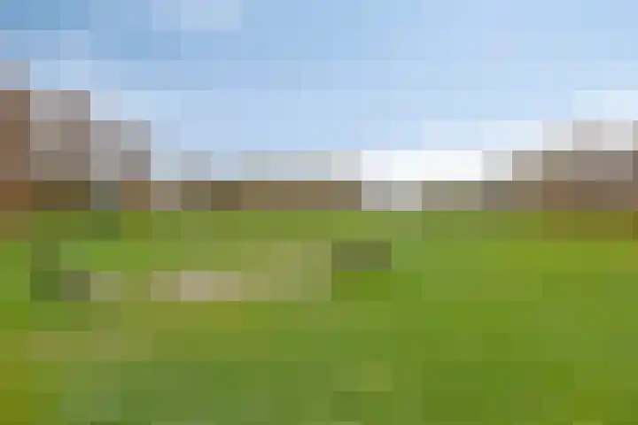 Lombarts 24 Duiven thumbnail 40