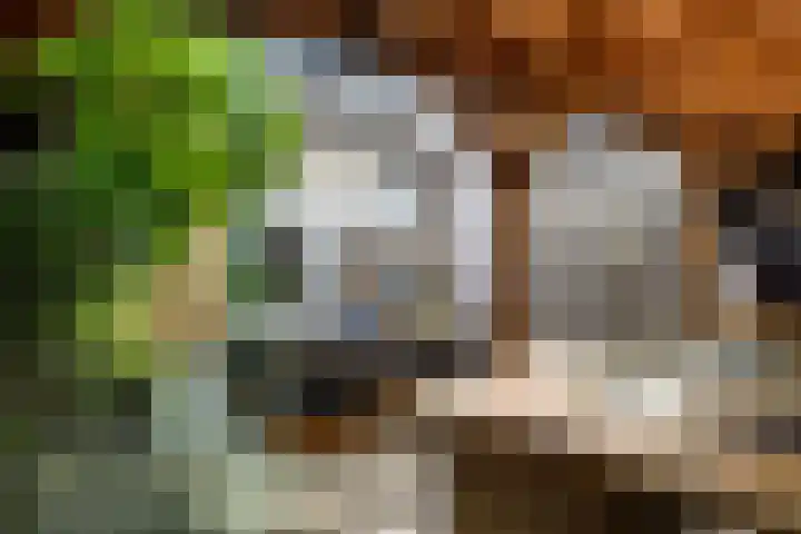 Lommerbaan 108 Zoetermeer thumbnail 31