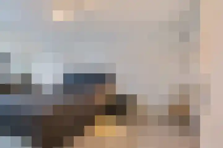 Lommerbaan 108 Zoetermeer thumbnail 39