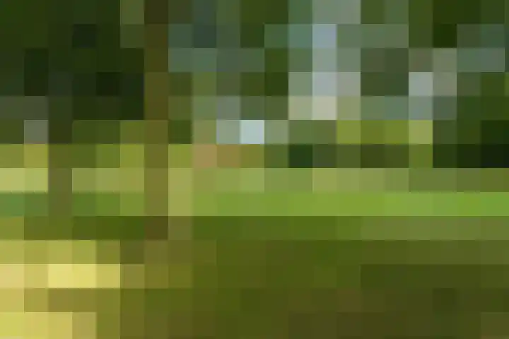 Lommerbaan 108 Zoetermeer thumbnail 51