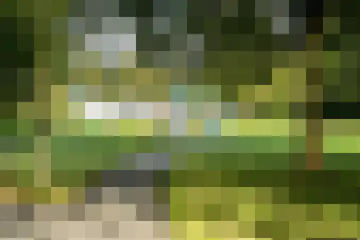 Lommerbaan 108 Zoetermeer thumbnail 54