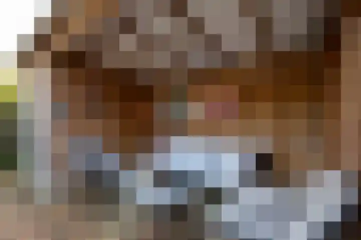 Lonerstraat 4 Assen thumbnail 37