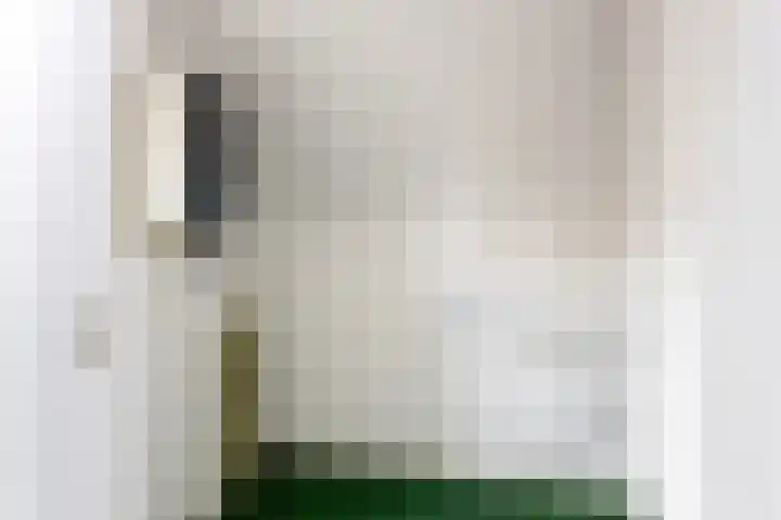 Longoliusstraat 4 Deventer thumbnail 31