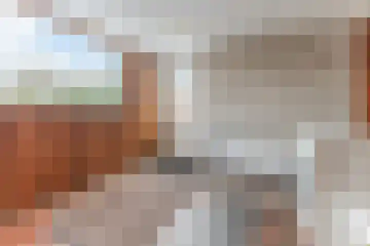 Loo 51 Bergeijk thumbnail 15
