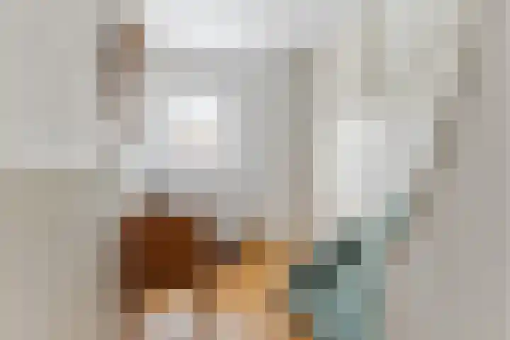 Loo 51 Bergeijk thumbnail 16