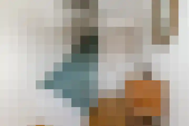 Loo 51 Bergeijk thumbnail 17
