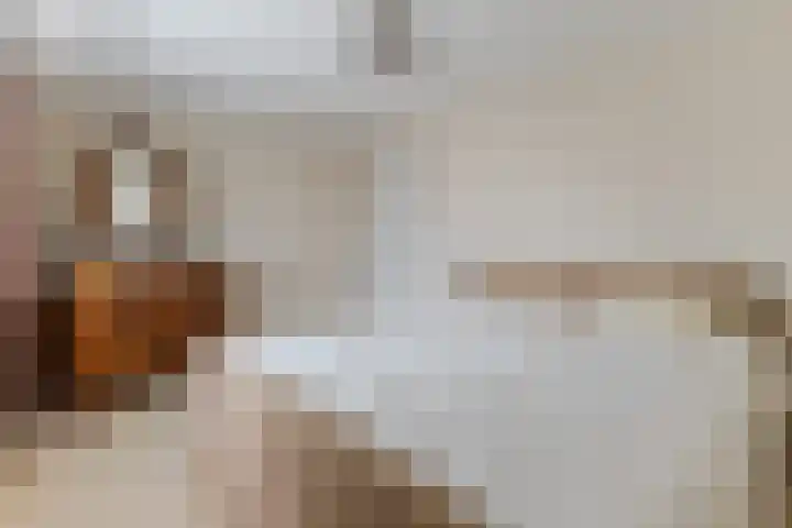 Loo 51 Bergeijk thumbnail 19