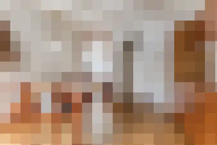 Loo 51 Bergeijk thumbnail 8
