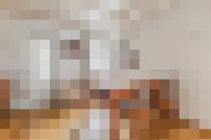 Loo 51 Bergeijk thumbnail 9