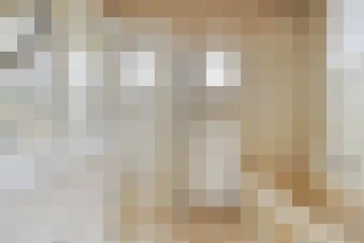 Loo 55 Nistelrode thumbnail 15
