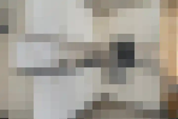 Loo 55 Nistelrode thumbnail 19