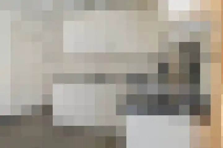 Loo 55 Nistelrode thumbnail 20