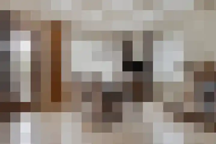 Loo 55 Nistelrode thumbnail 22