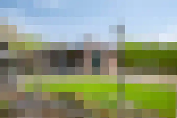Loo 55 Nistelrode thumbnail 37