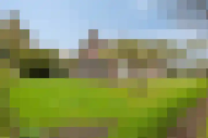 Loo 55 Nistelrode thumbnail 5