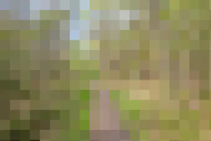 Loo 55 Nistelrode thumbnail 50