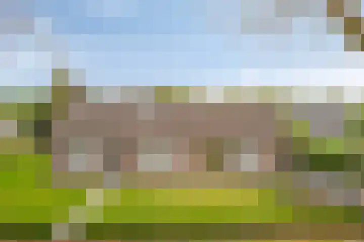 Loo 55 Nistelrode thumbnail 7