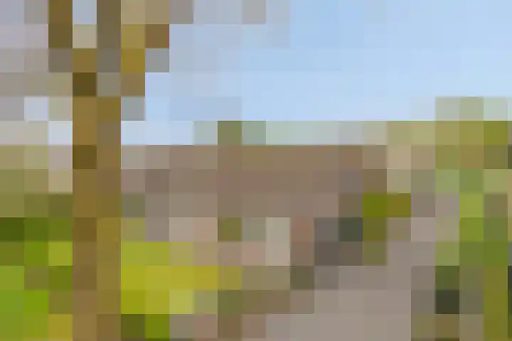 Loo 55 Nistelrode thumbnail 8