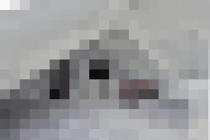 Looakker 8 Boxtel thumbnail 25