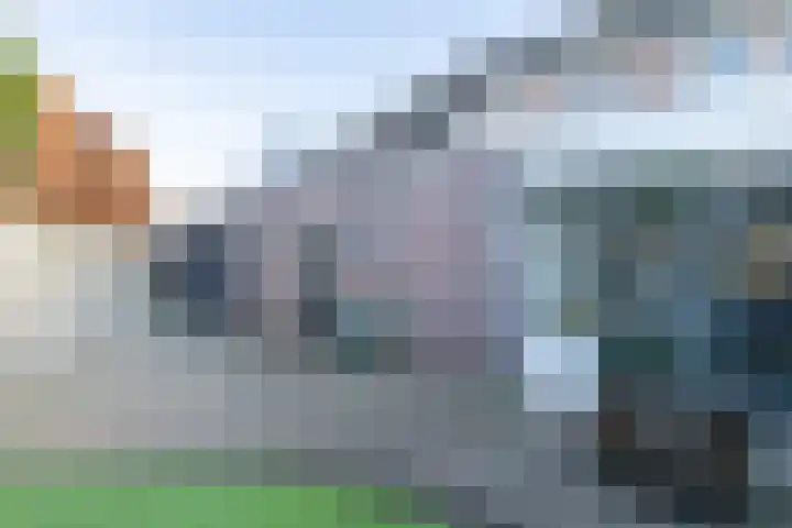 Looakker 8 Boxtel thumbnail 30