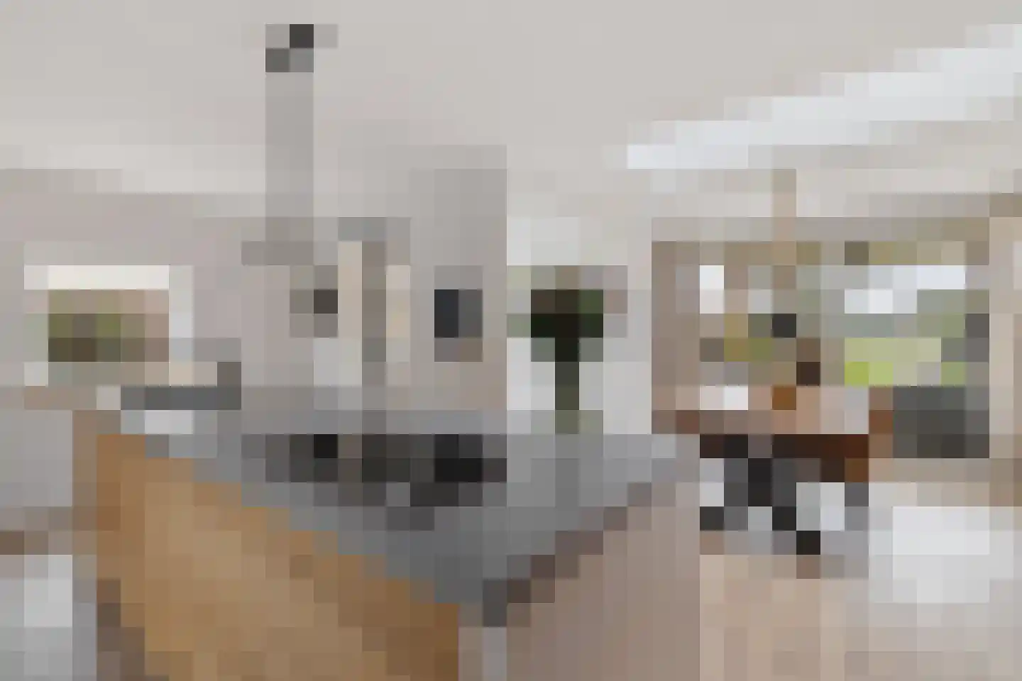 Looakkers 27 Valthe thumbnail 19