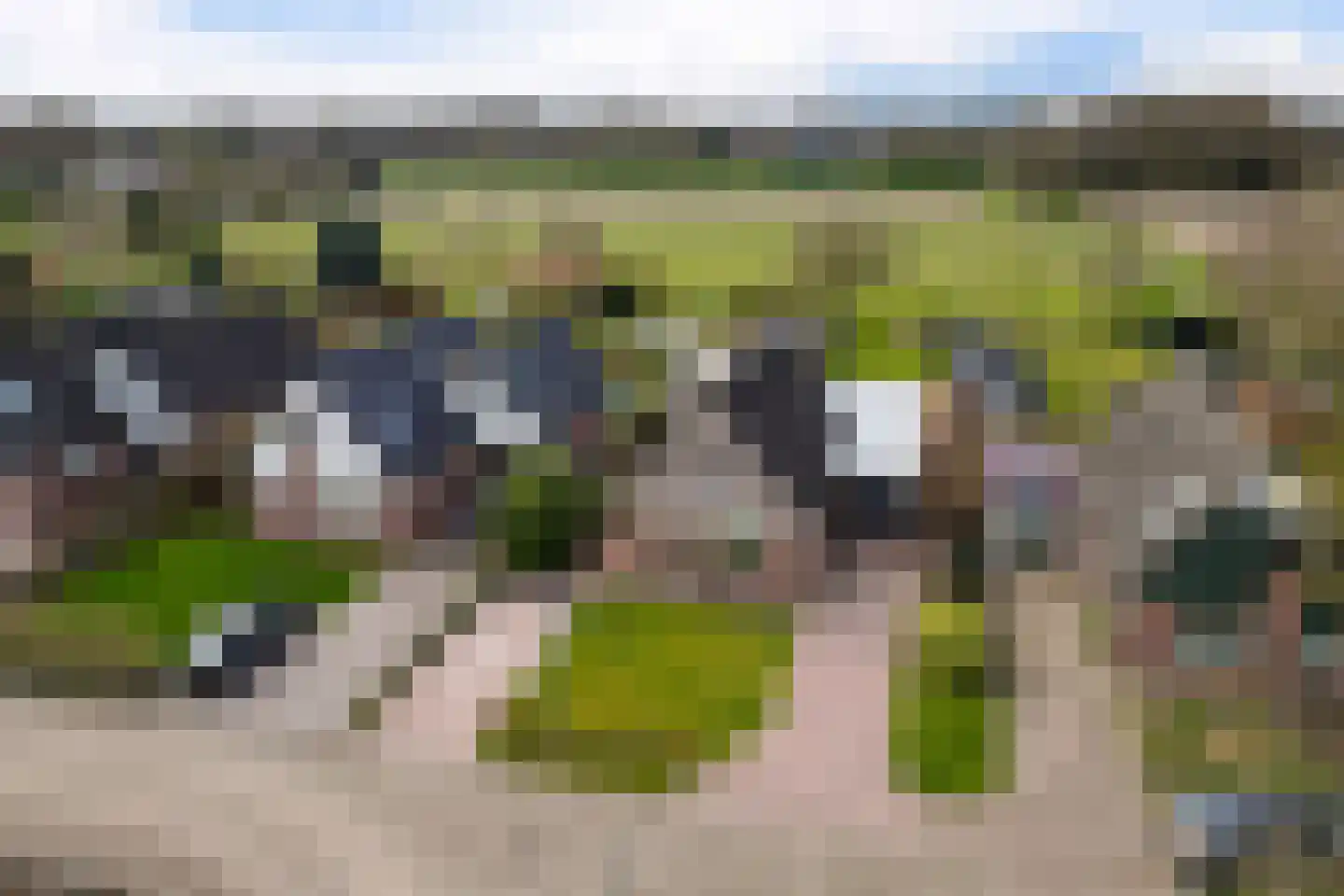 Looakkers 27 Valthe foto 2