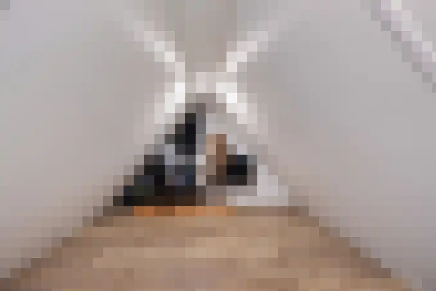 Looakkers 27 Valthe thumbnail 38